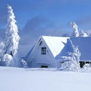 Meet your Posher, Alban